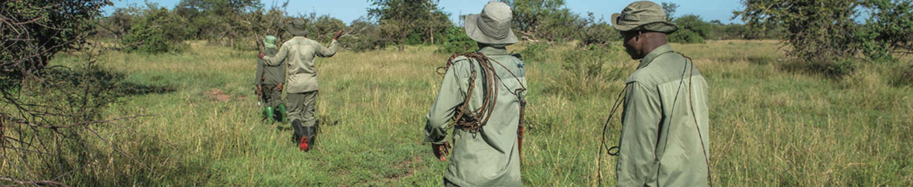 field_team_park_rangers_serengeti.png
