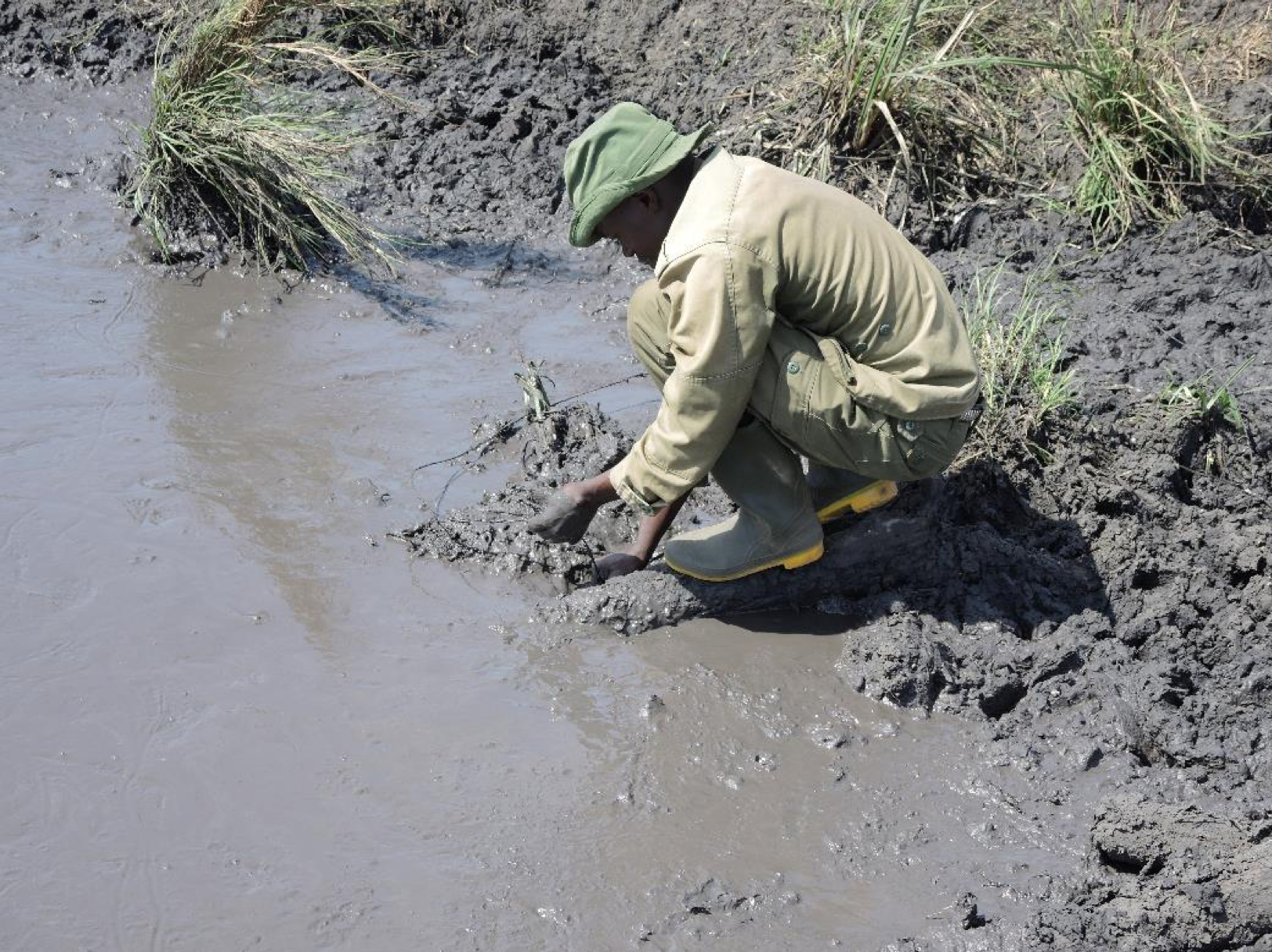  Removing a snare that was set by poachers by a waterhole. 
