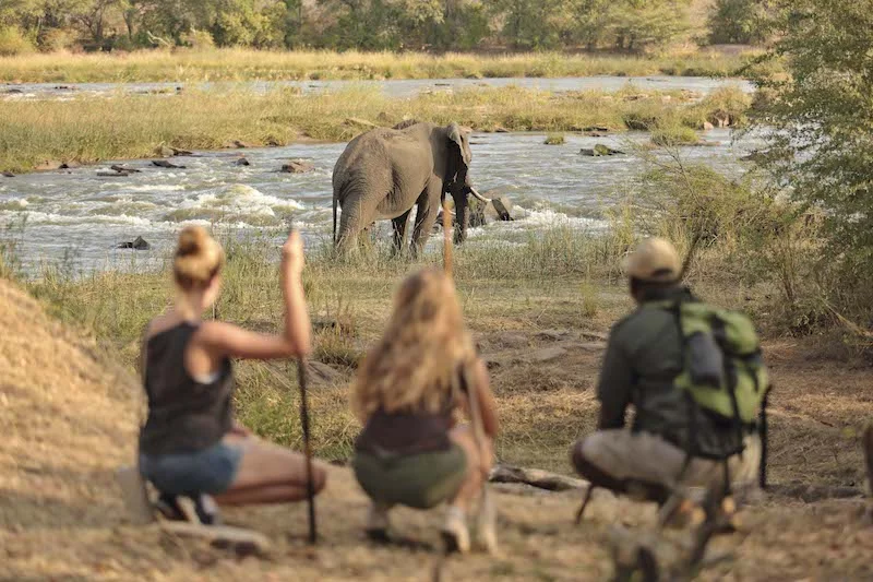 Six Reasons to Visit the Selous Game Reserve