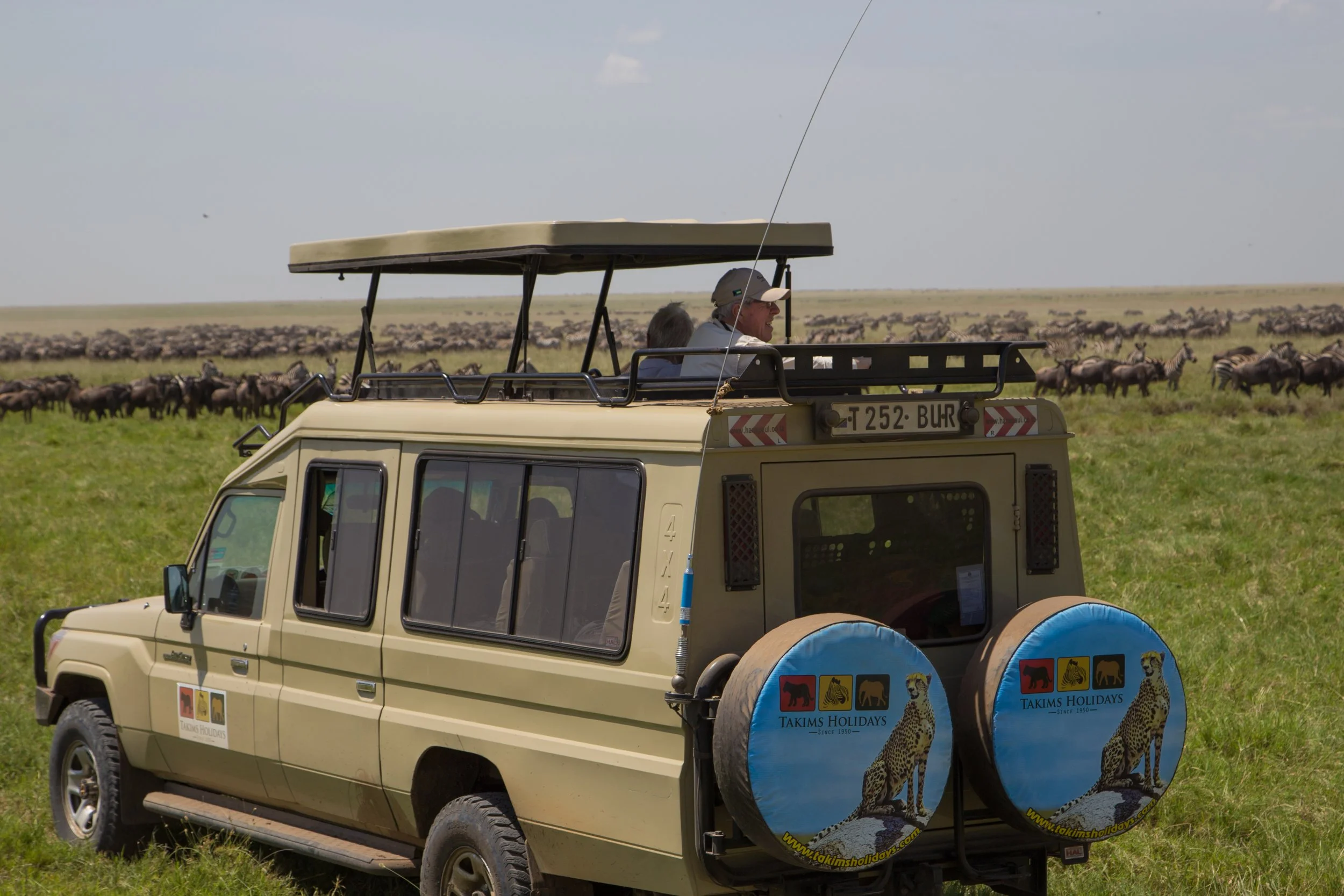 Cruiser with migration 1.jpg