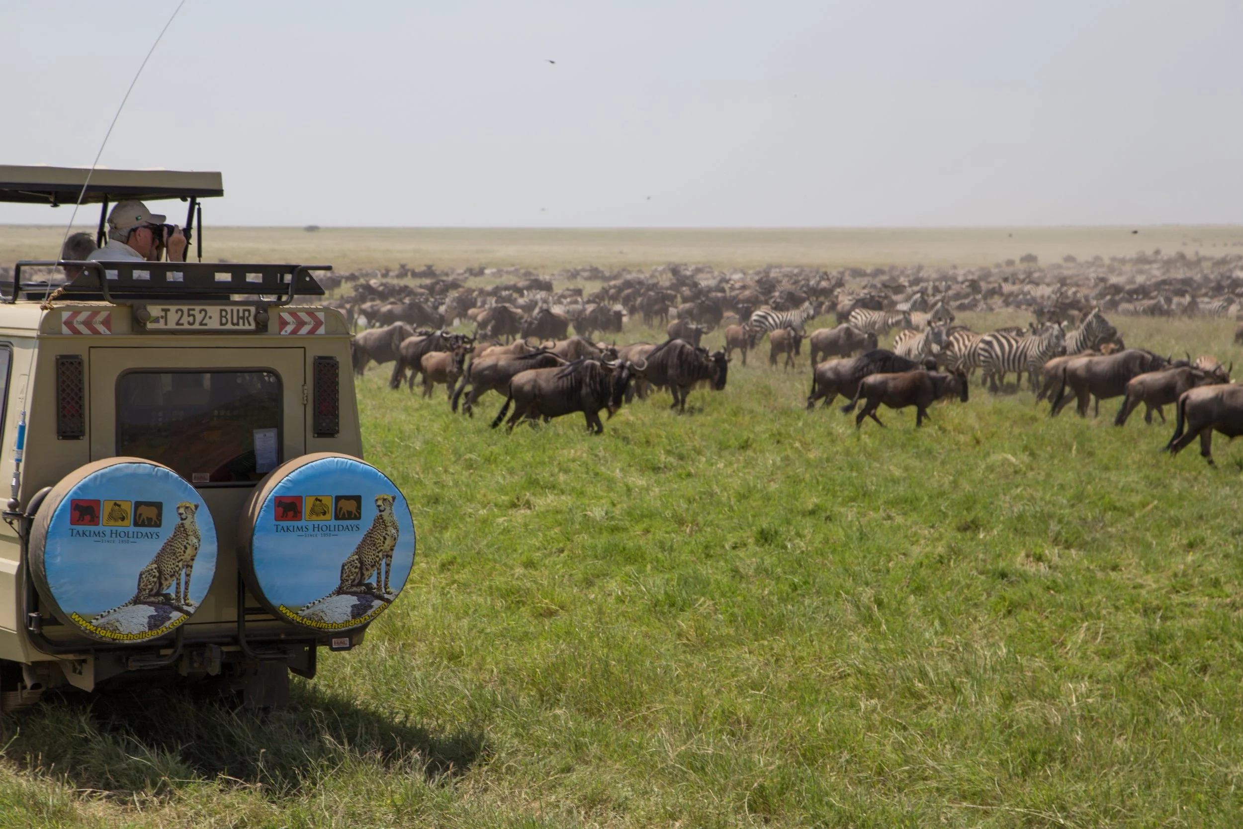 Cruiser with migration 2.jpg