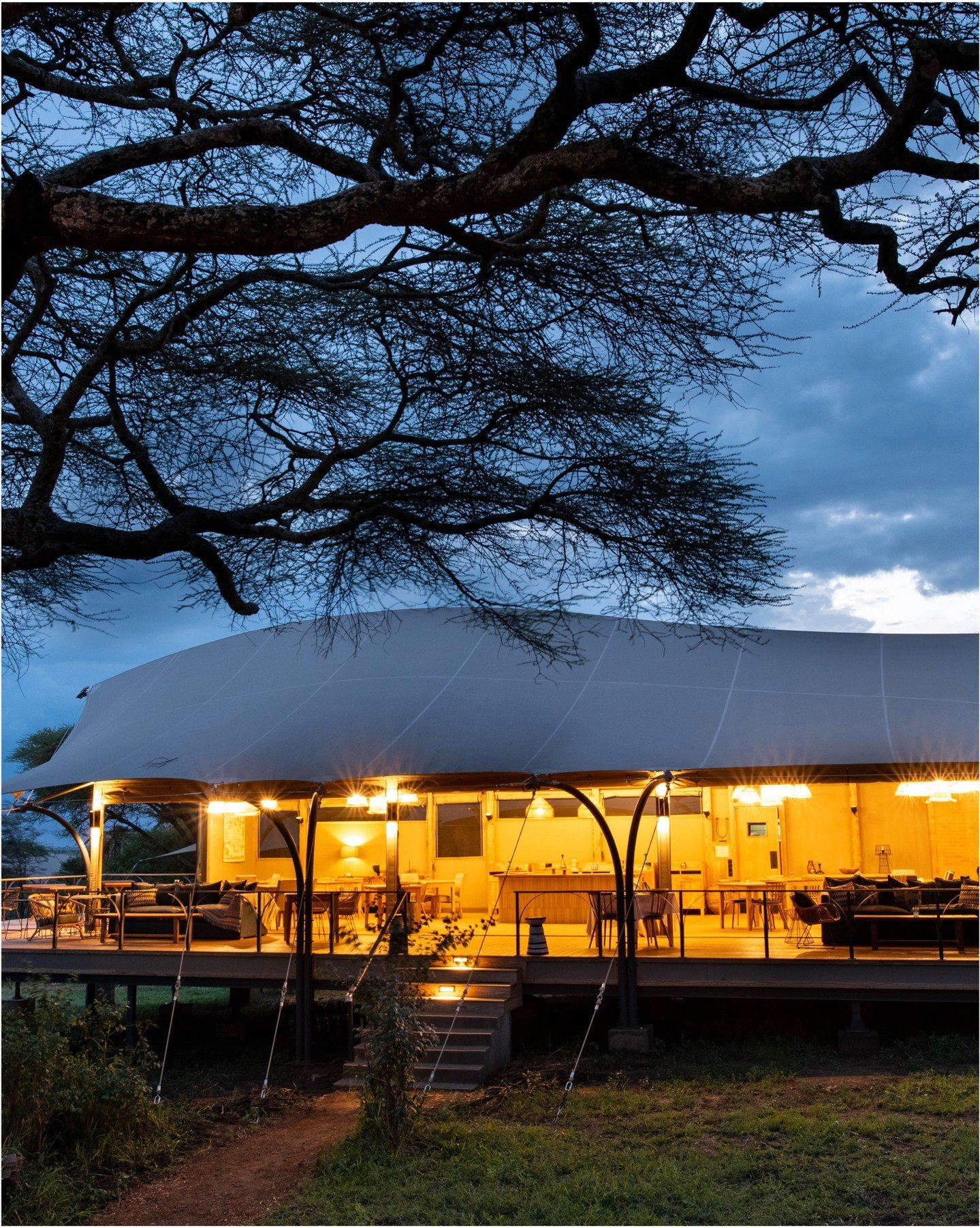 Sleep under the stars at Lemala Nanyukie Lodge, where adventure meets comfort in the heart of the Serengeti 🌌 Wake up to the sights and sounds of the wild, with game drives, bush walks, and a truly immersive safari experience just steps away from yo