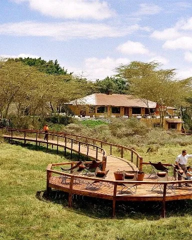 Welcome to Hatari Lodge, a hidden gem in Arusha National Park! 🌿

Surrounded by lush greenery and endless wildlife, this retreat offers the perfect blend of comfort and nature.

Book a memorable experience @ takimsholidays
📷: @hatari_lodge

#expert