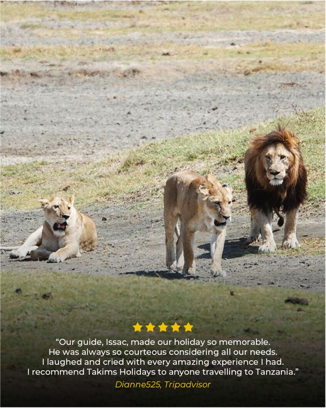 &ldquo;Trip of a lifetime! We recently returned from a five-star holiday, bucket list sort of holiday. My husband and I had the most professionally organised holiday, from start to finish through Takims Holidays.

Our guide, Issac, made our holiday s