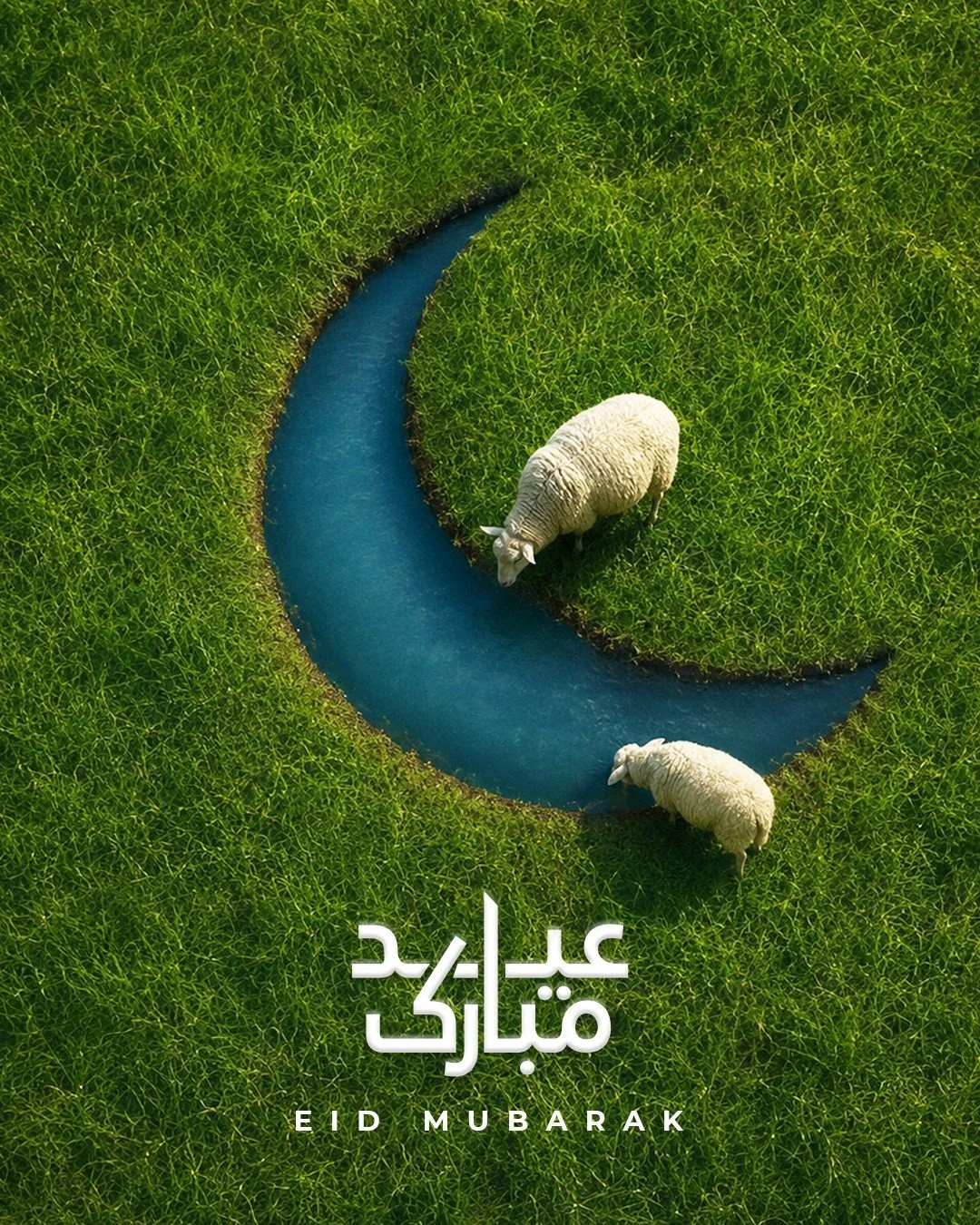 Eid Mubarak 🌙🐑

May this Eid al-Adha bring peace, blessings, and happiness to you and your family. 🤍✨

#EidMubarak #EidAlAdha #BlessedEid