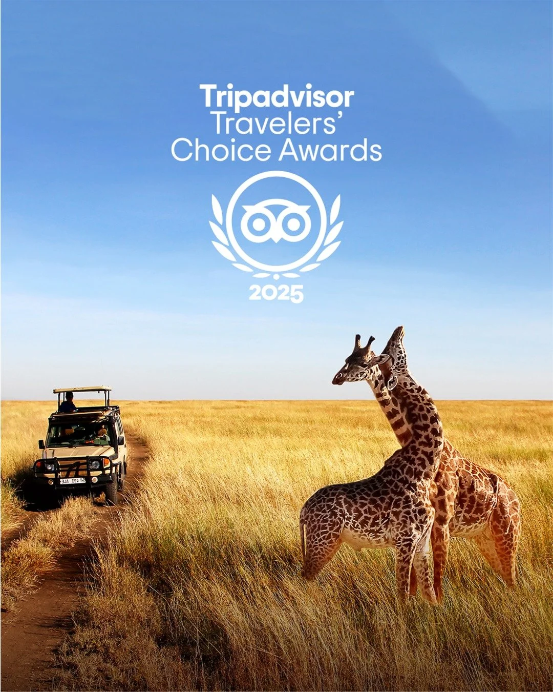Honoured to be recognised in the TripAdvisor Travellers&rsquo; Choice Awards 2025. 🏆

A big thank you to everyone who travelled with us and took the time to share their experience, your support means a lot.

#TripadvisorTravellersChoice #TravellersC