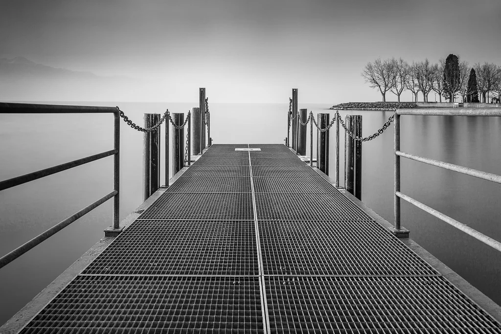 Geneva-2482-bw.jpg