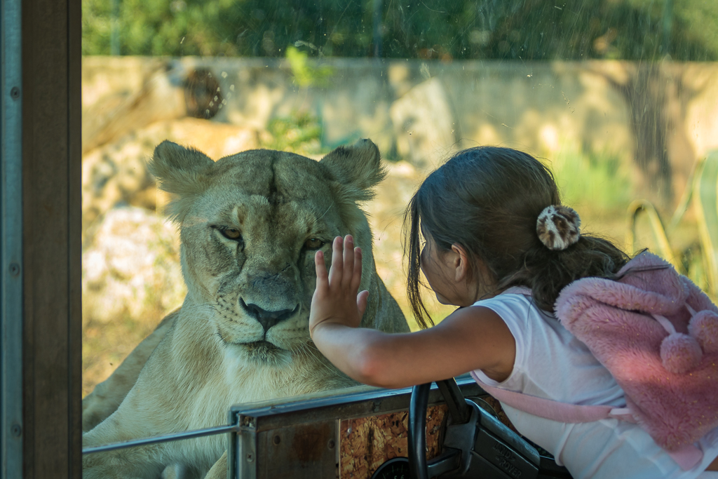 Girl and lion.jpg