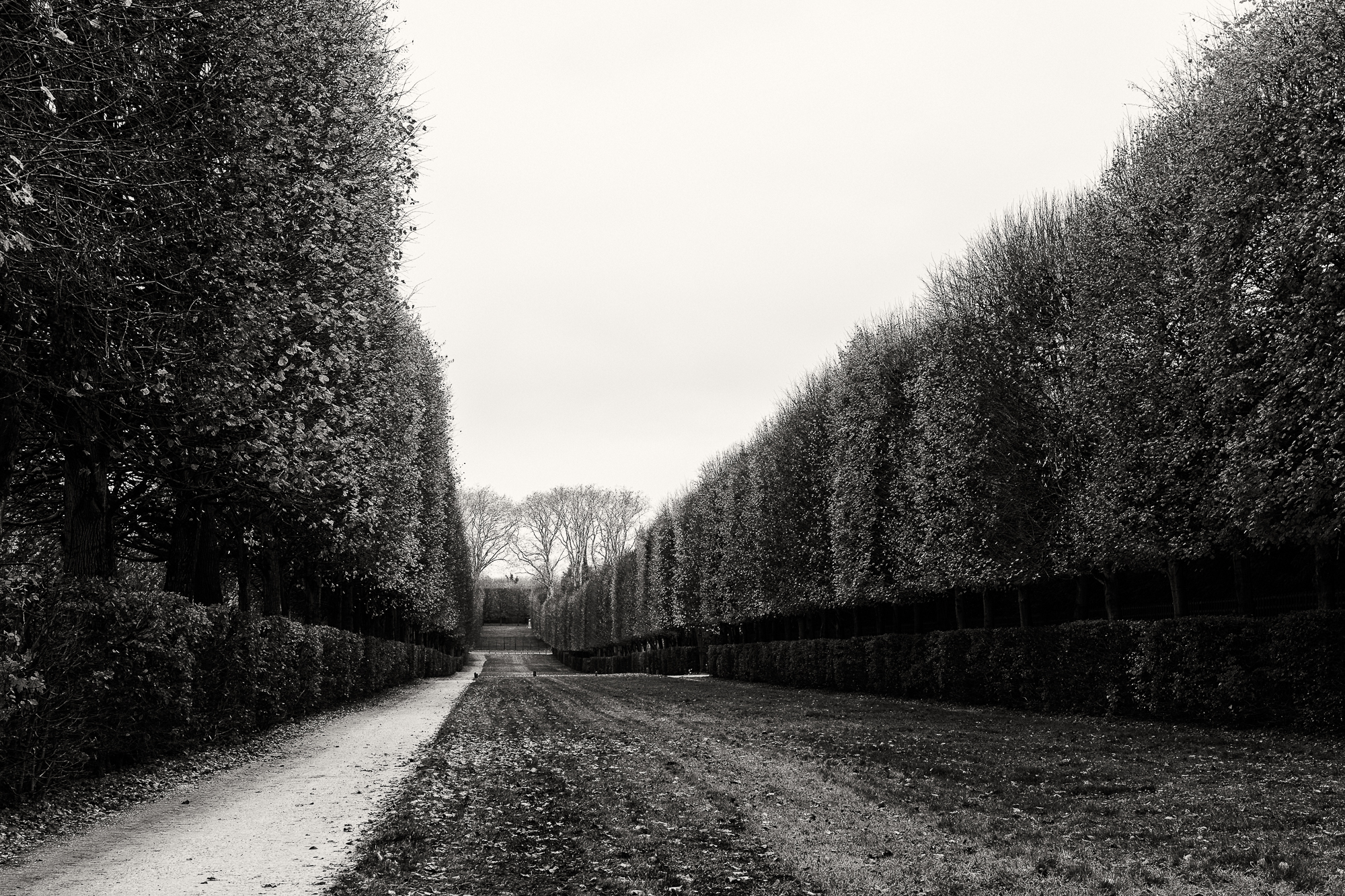Mentzas-Gardens of Versailles-1.jpg