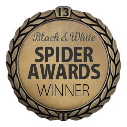 spiderfellow13thwinner.png
