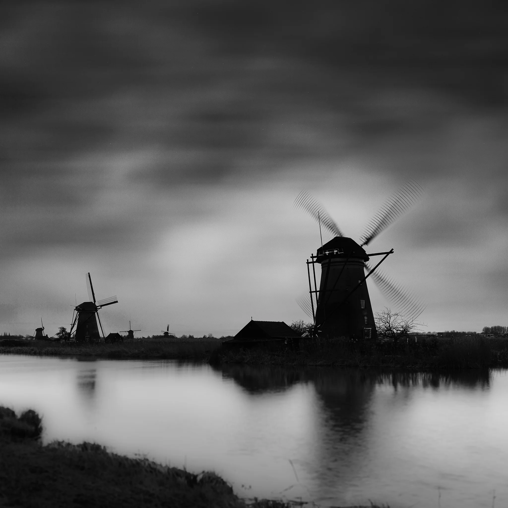Kinderdijk-Study-III.jpg