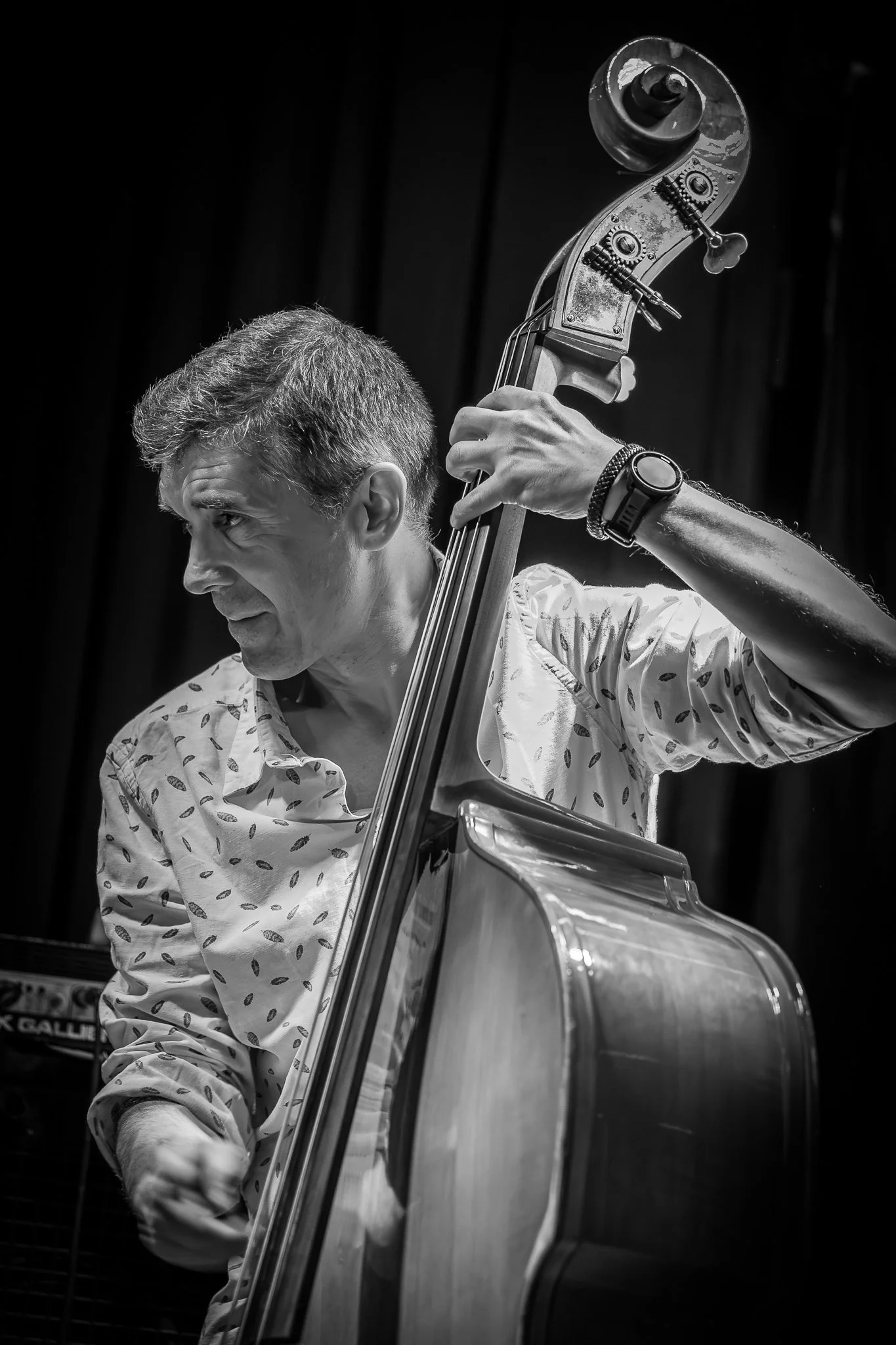 Cyrille Catois, bass, Cecilya and the Candy Kings, Half Note Jazz Club, 26 December 2024