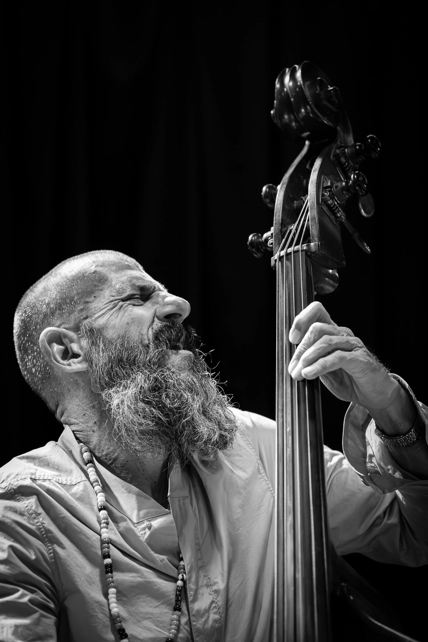 Irenaeos Koulouras, bass, at Half Note Jazz Club (30 October 2024)