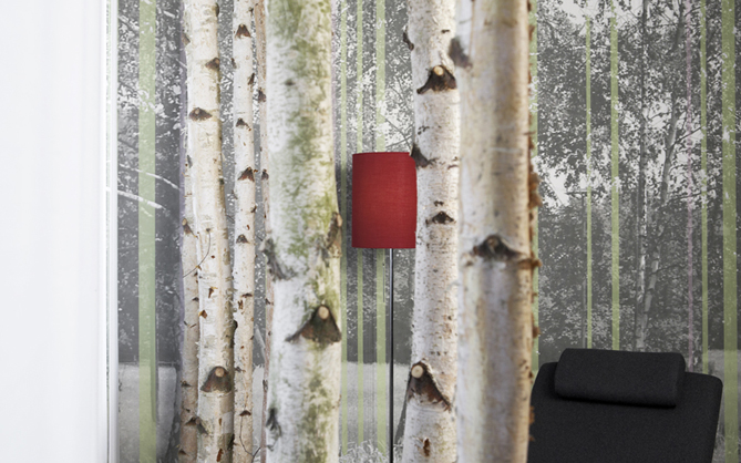 0723 Stämme 100dpi.jpg