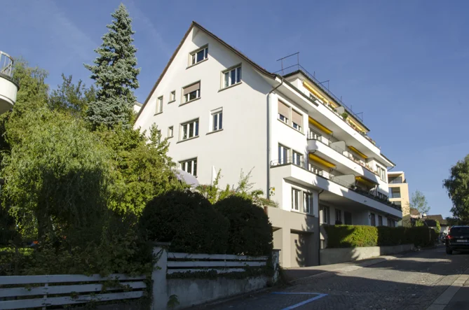 Schilf_DSC_5986.jpg