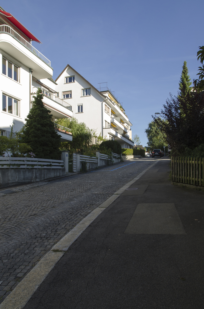 Schilf_DSC_5992.jpg