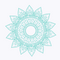 Small Divider 2.png
