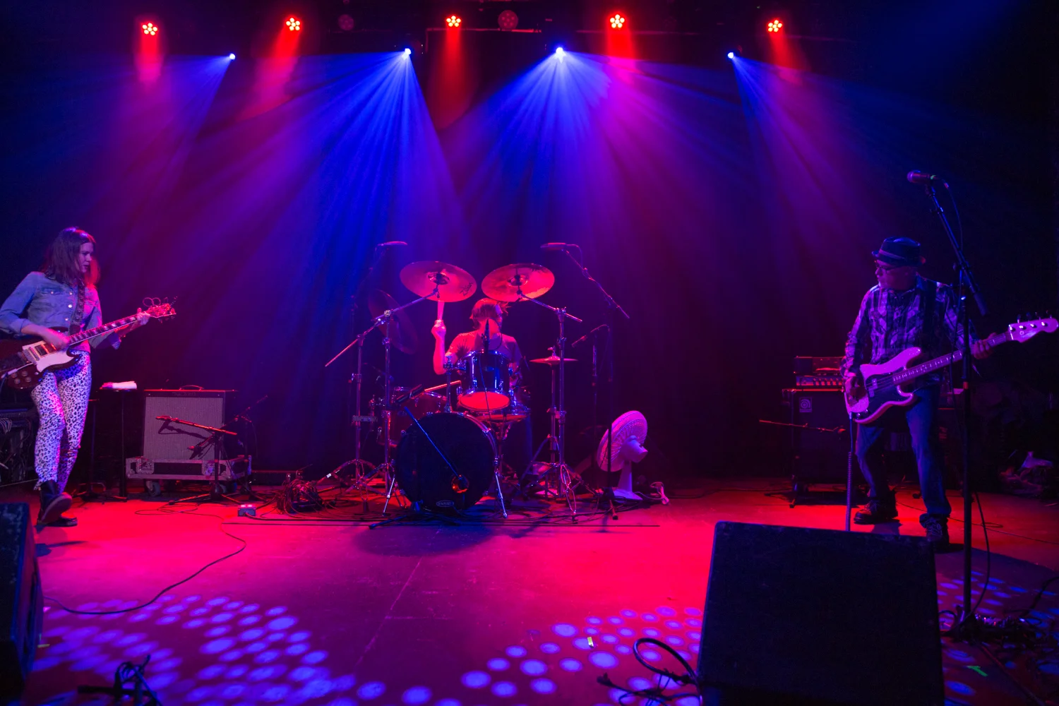 Portland, Feb 26, 2015 - David Young's Photos