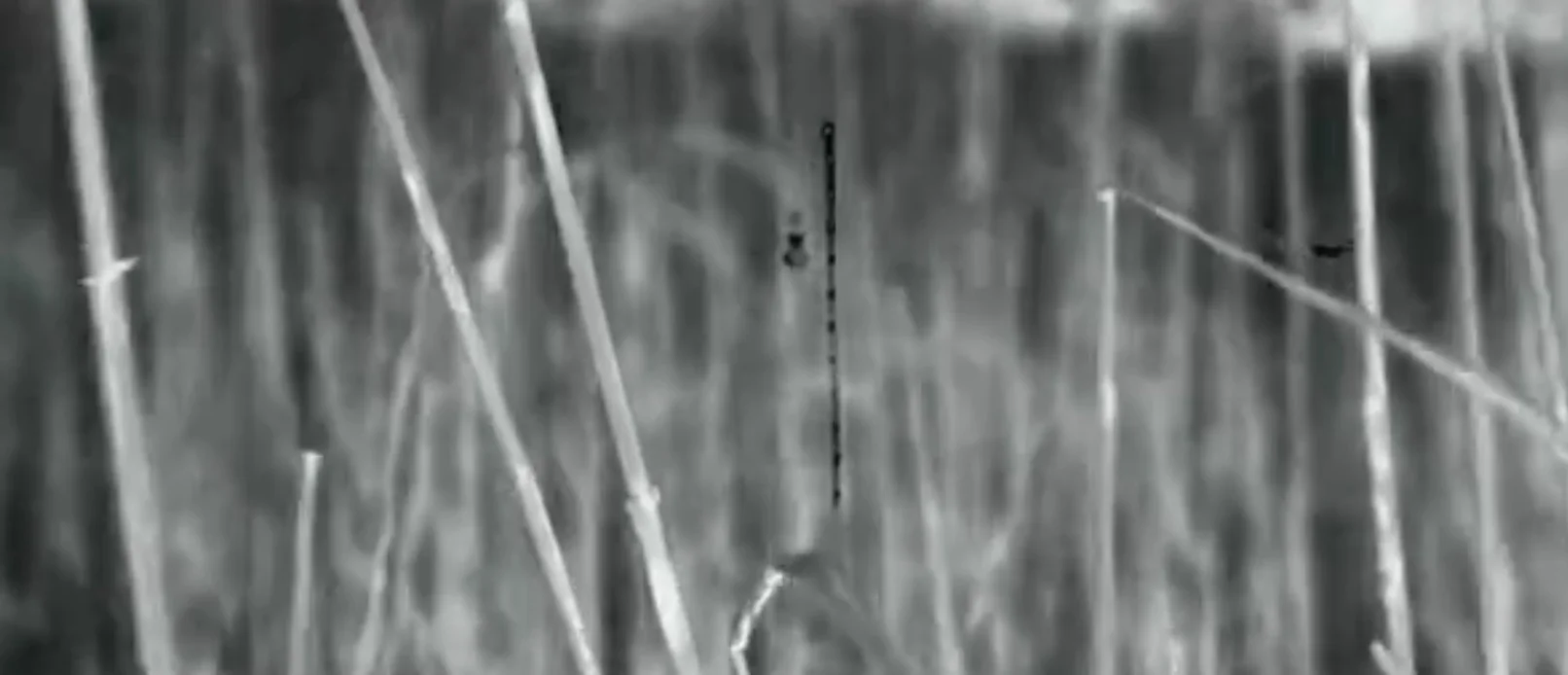 Video - Maxon (Promo)