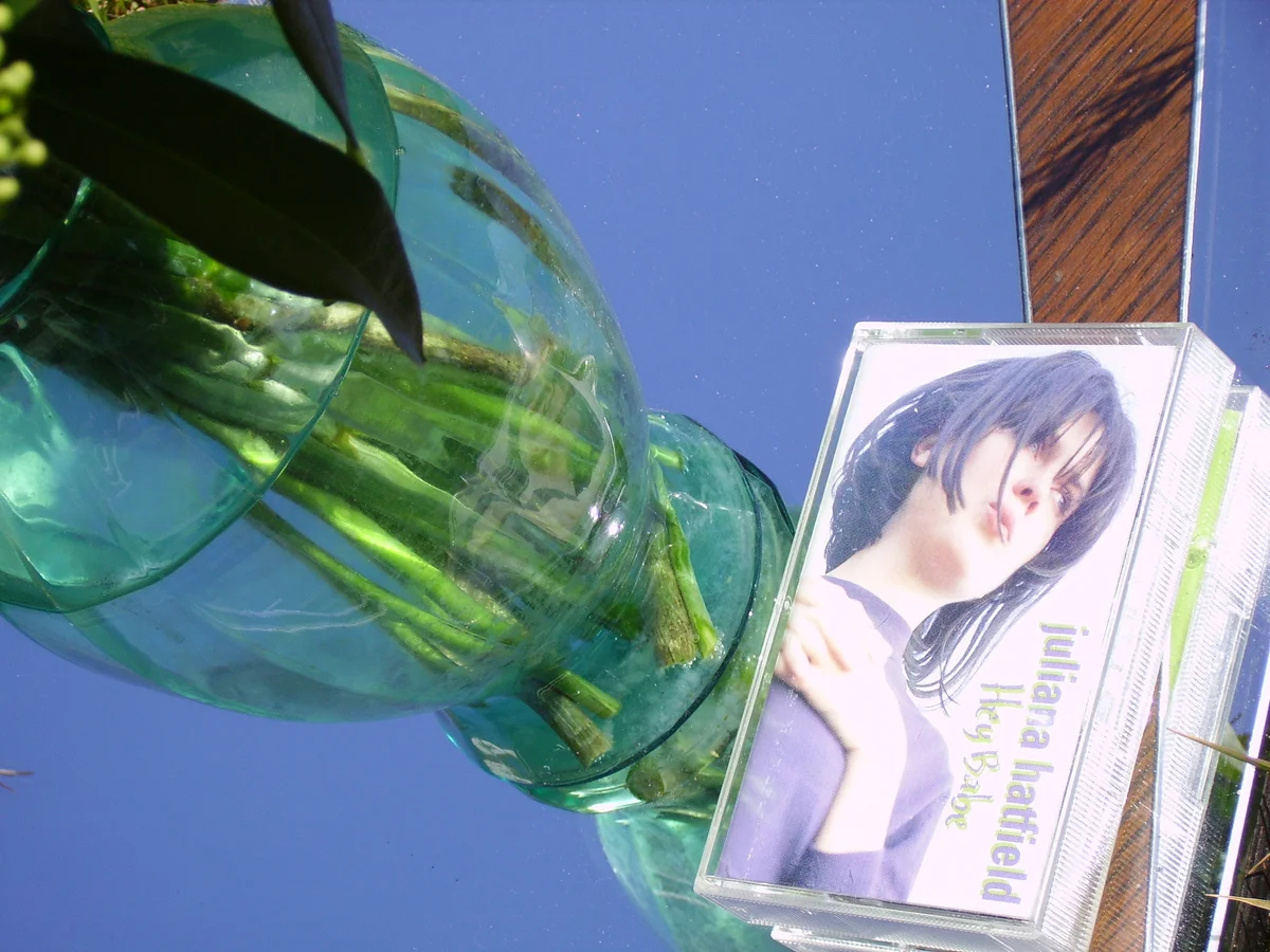 Picturebox - Juliana Hatfield (2012)