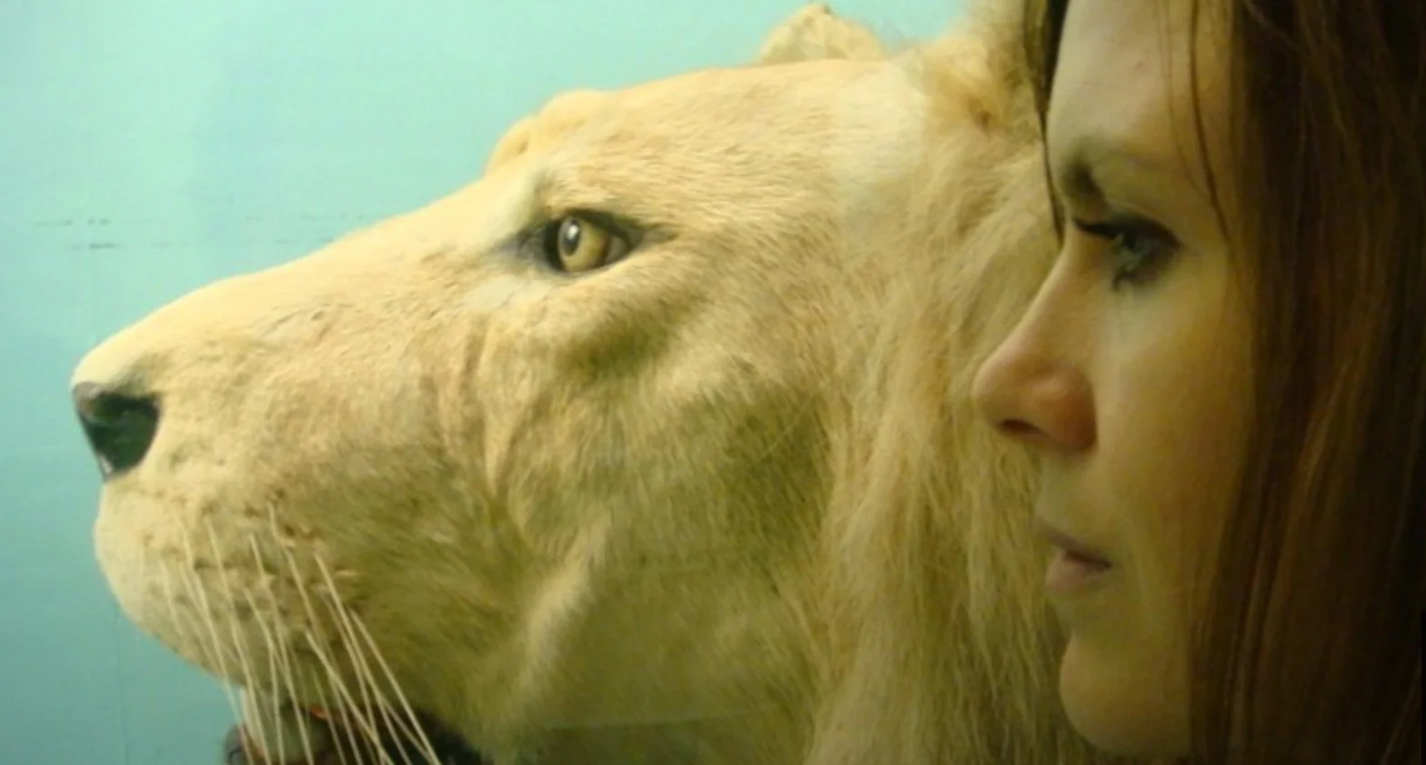 Covers Album - PledgeMusic Project Launched