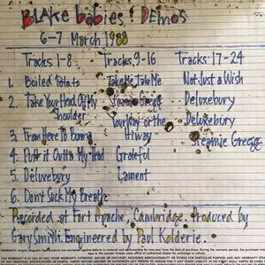 Blake Babies Launch Earwig Demos Project at PledgeMusic