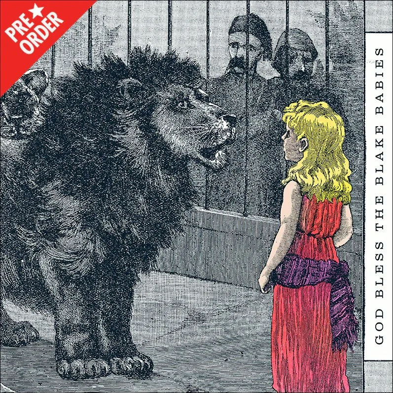 God Bless the Blake Babies 2026 Vinyl