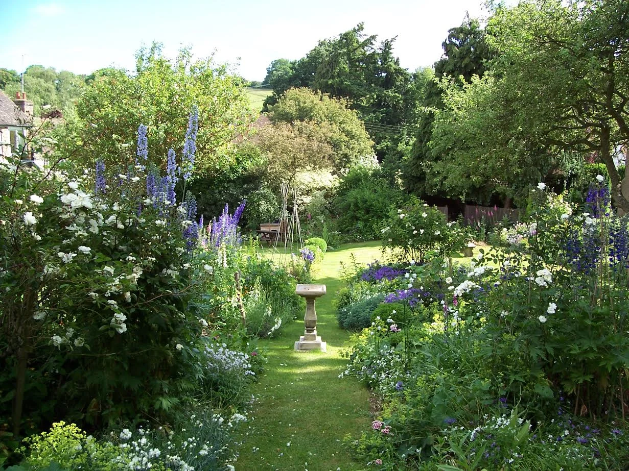 Nicky's Garden