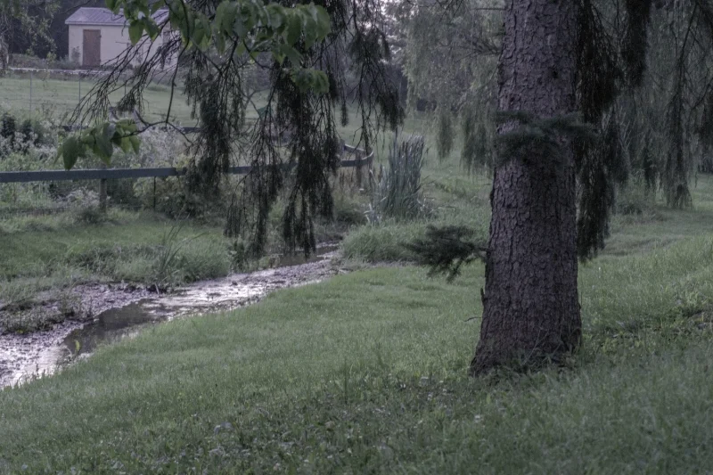 This is a lovely farm and the owners have spent a lot of time designing the open spaces for tranquility. "Creek with Cattails" (c) Rebecca LaChance, 2015, Graceham, MD.