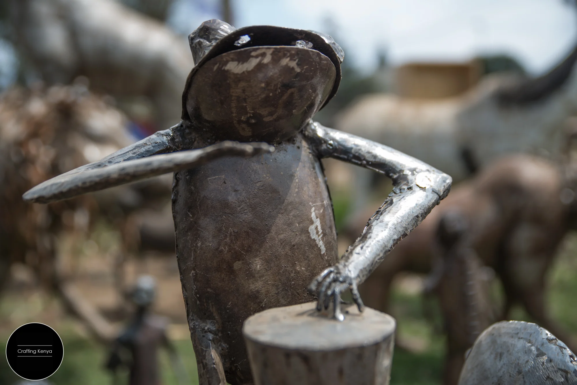 Lead drummer of the metallic frog band