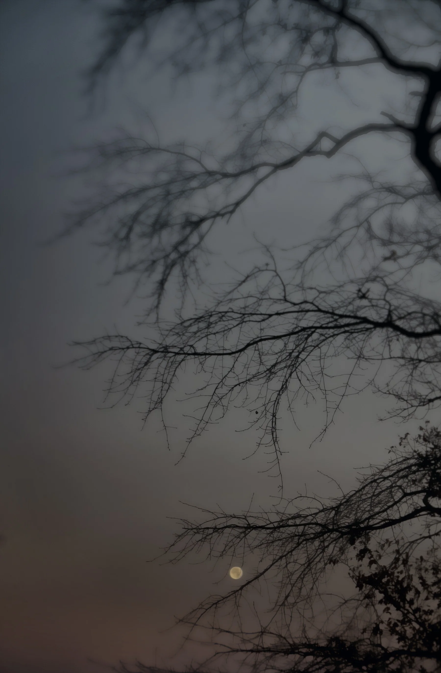 MoonSet_500K-1000453-2.jpg