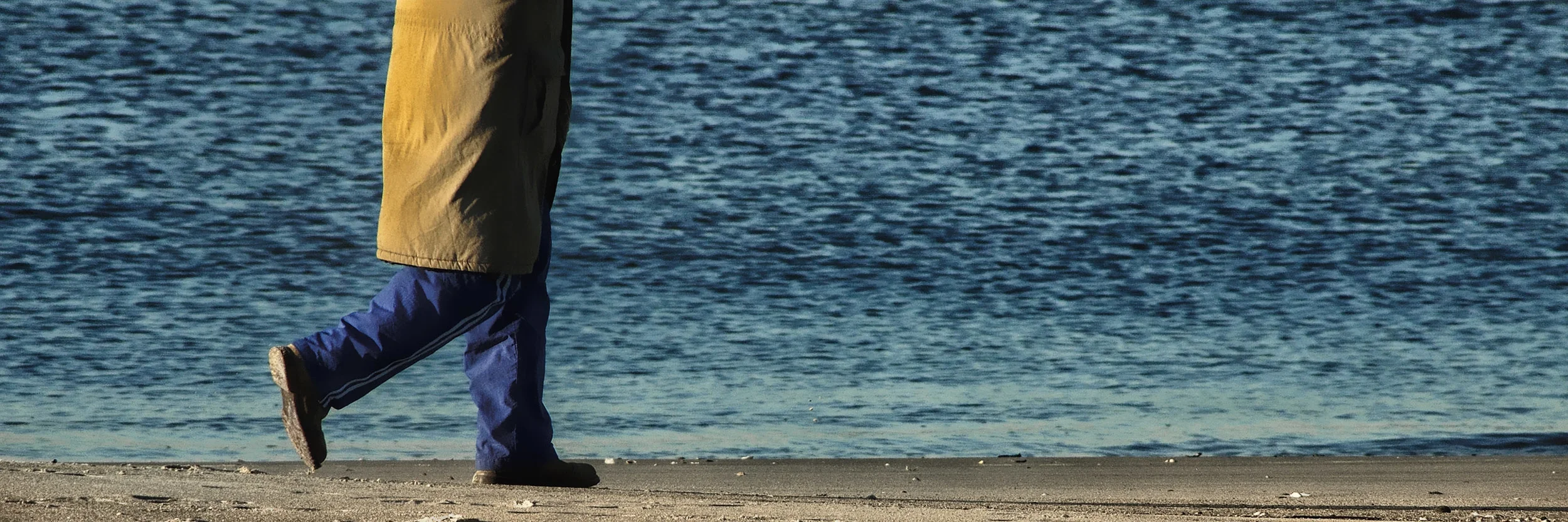 beachwalkerVer2-500K-CS6338.jpg
