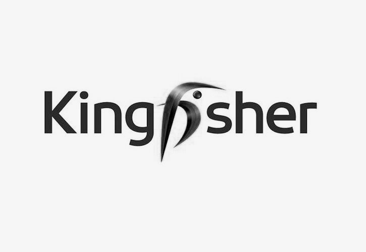 2016-2019.  Global Director for Kingfisher Plc.
