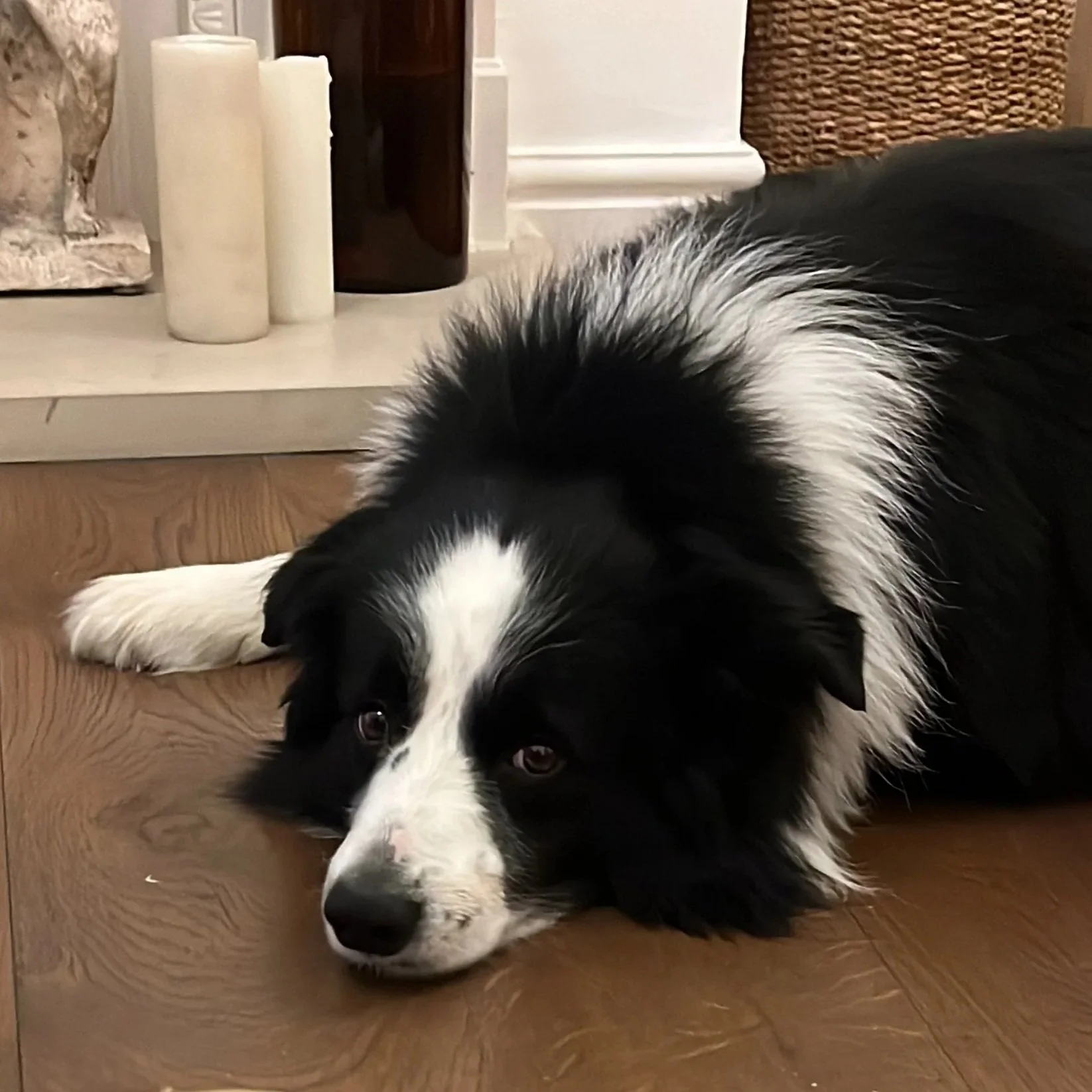 Whats next? Ciro knows!