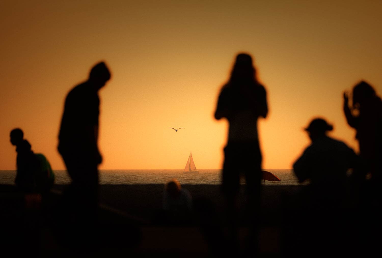 venice-skatepark_erik-melvin_4.jpg