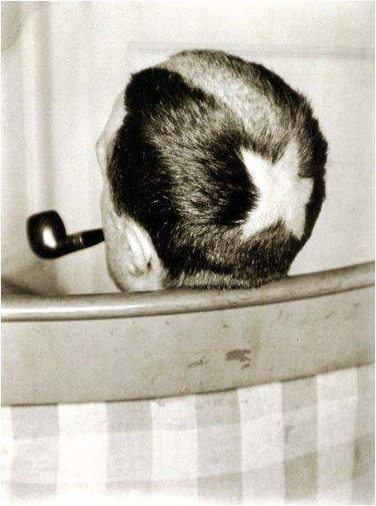 Many Ray, Tonsure (Marcel Duchamp), 1919.