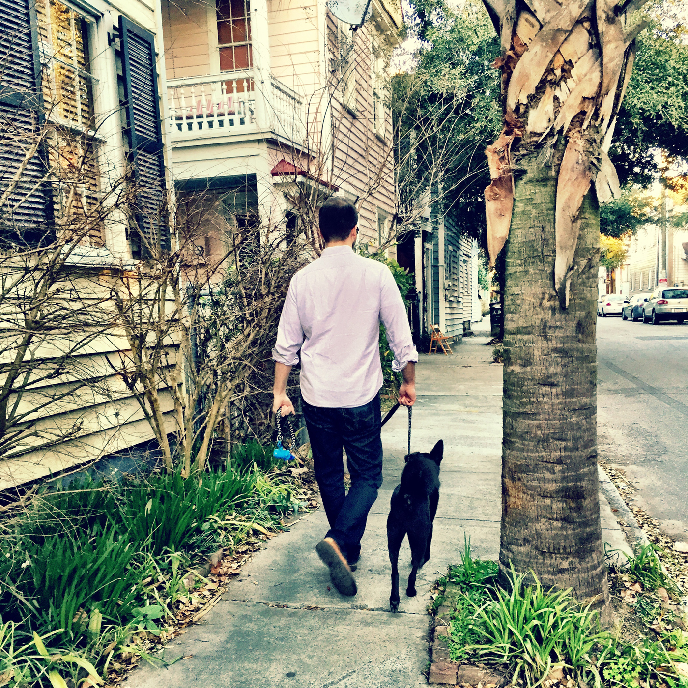 Because I had to add some pictures to this post. And who doesn't love a good dog photo. Look at that ear.