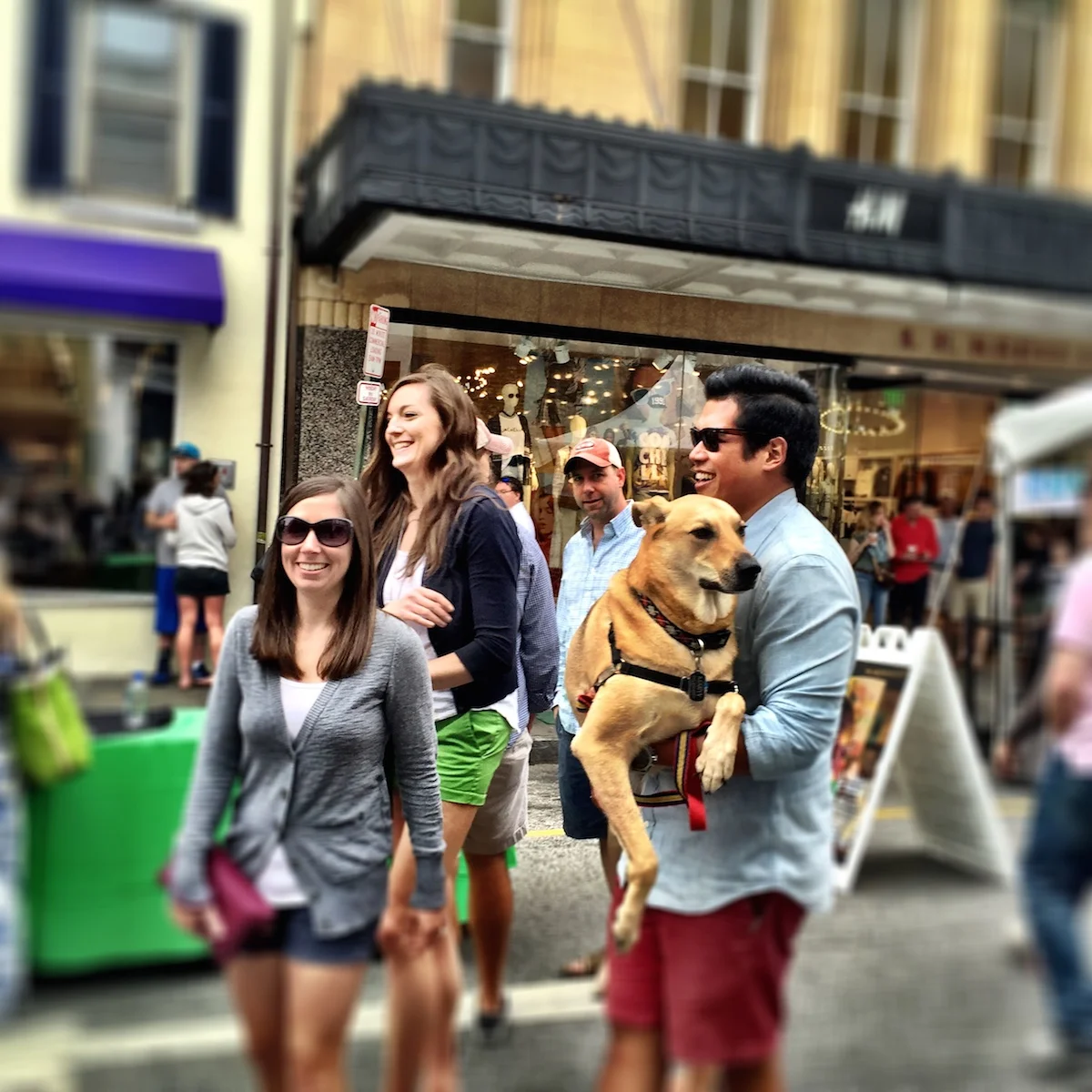 That's our friends Brie, Miguel and Marty. Marty is the worlds largest lap dog. It's his world, we are just living in it.
