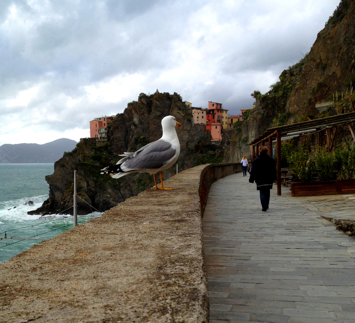 The walk from Riomaggiore to Manarola