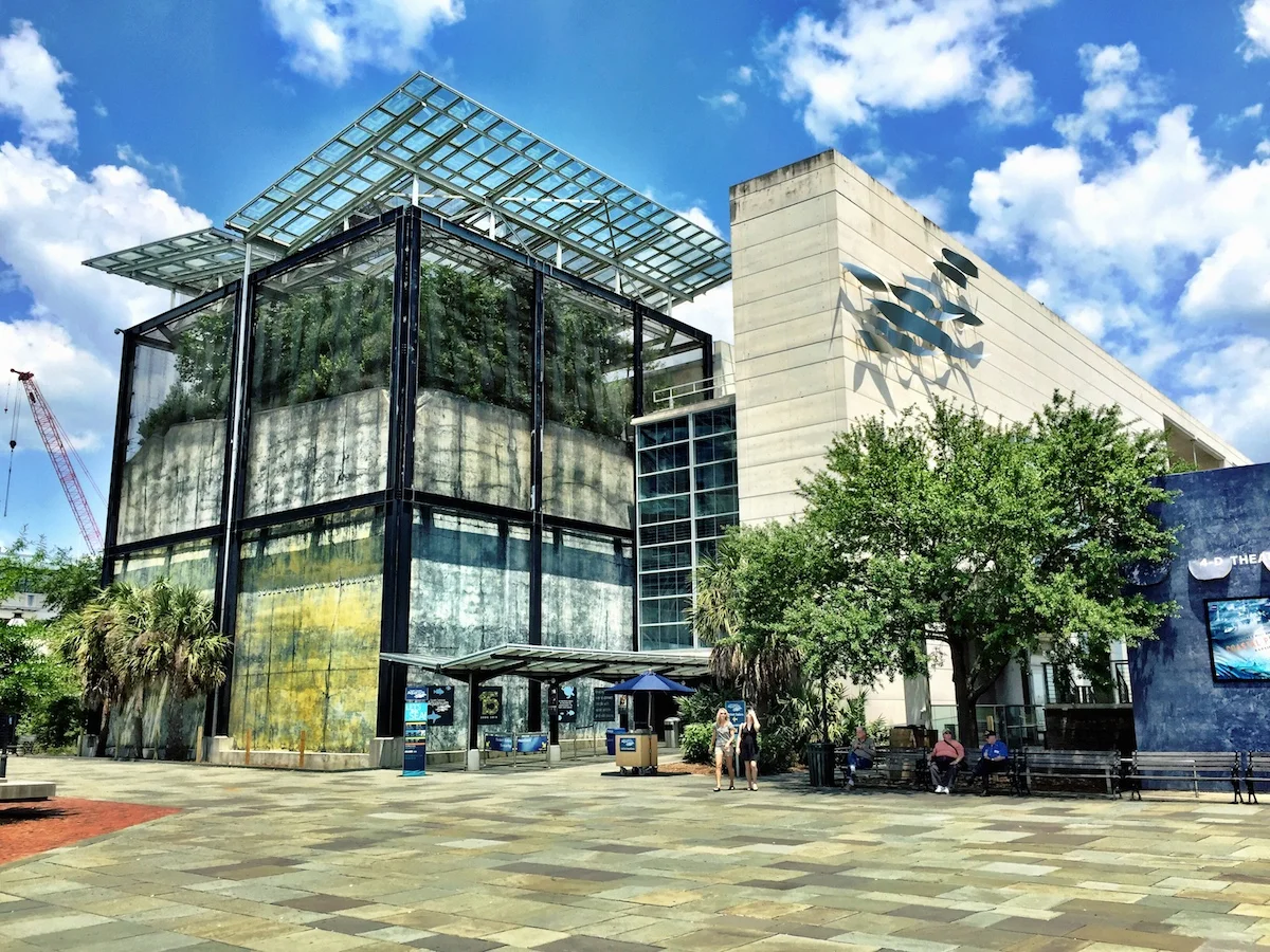 The South Carolina Aquarium. Architects: Clark and Menefee Architects; Eskew + Architects