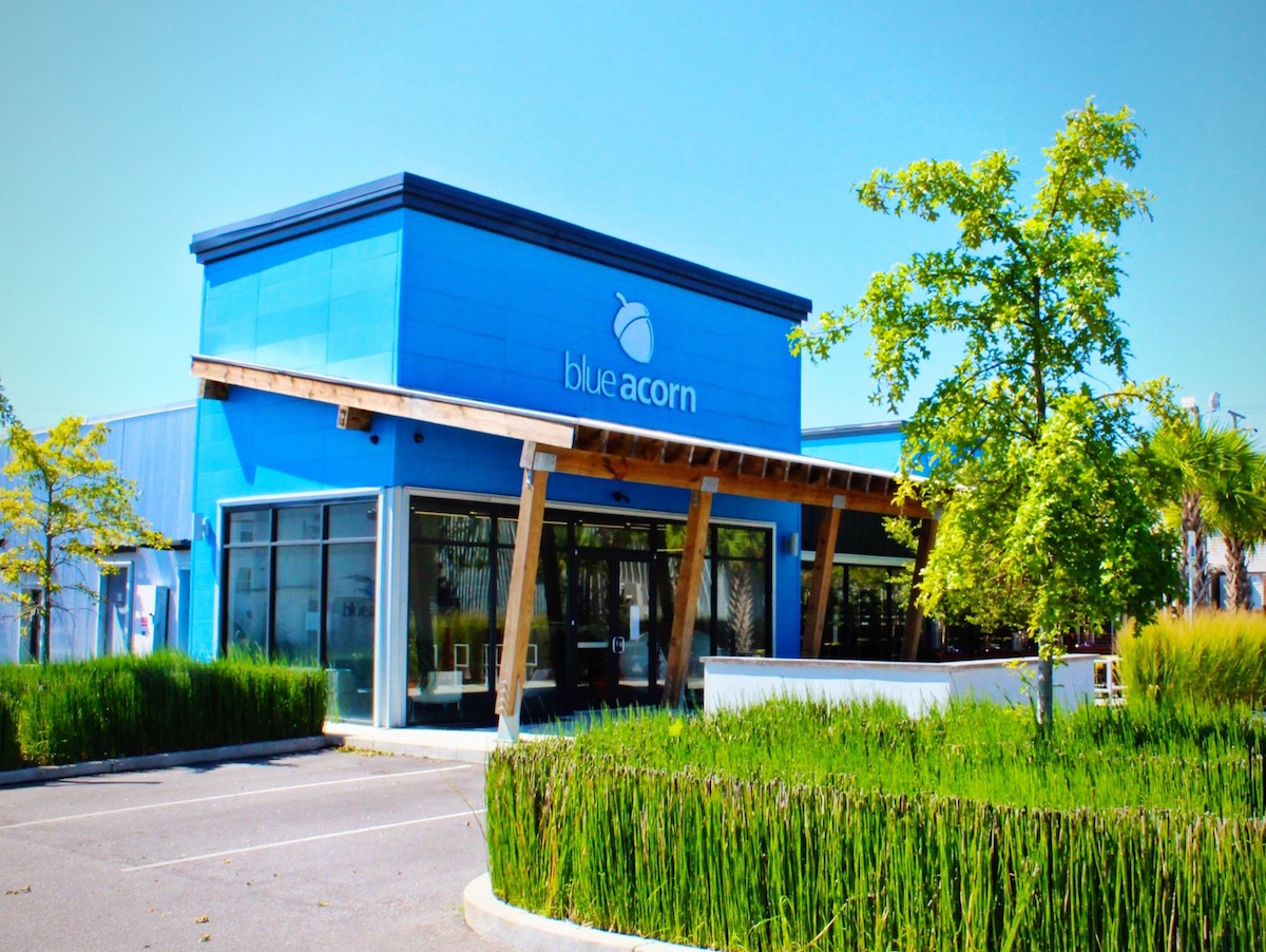 Blue Acorn Office
