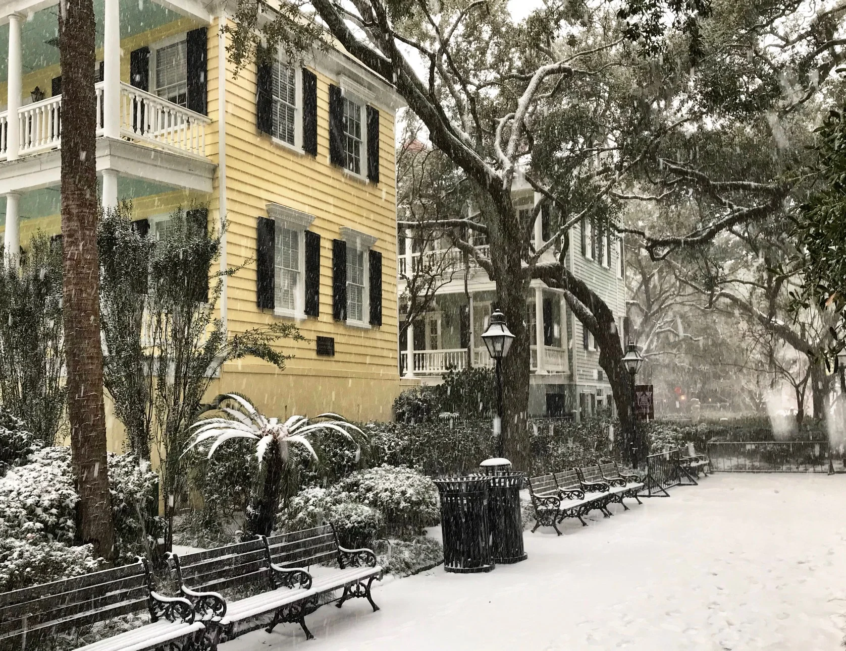 College of Charleston by Steve Ramos