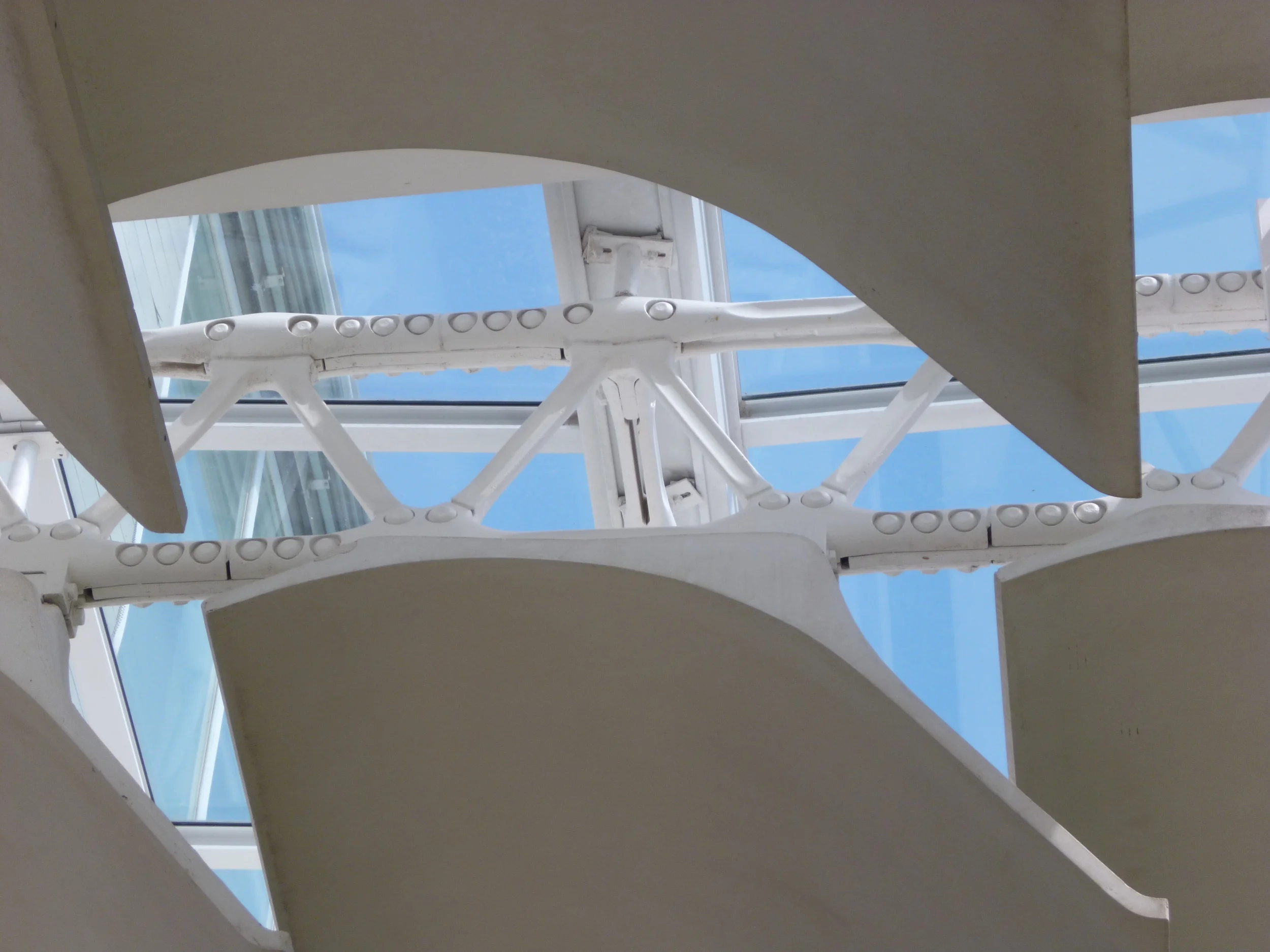 P1000891.JPG