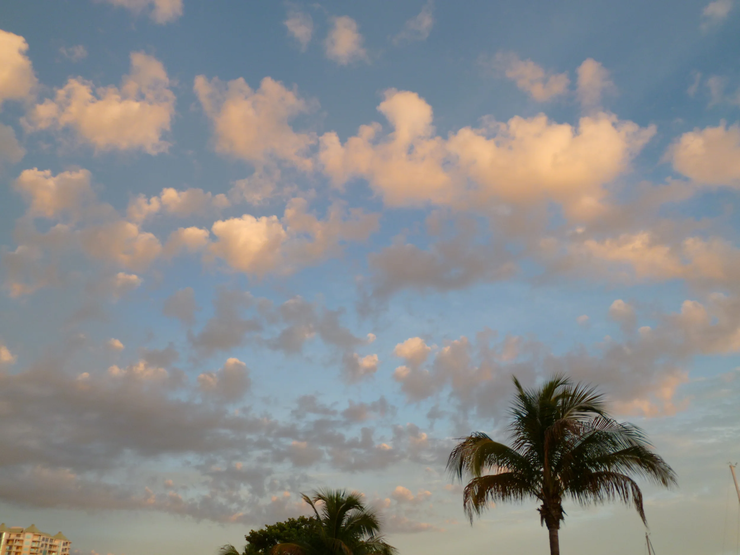 P1010442.JPG