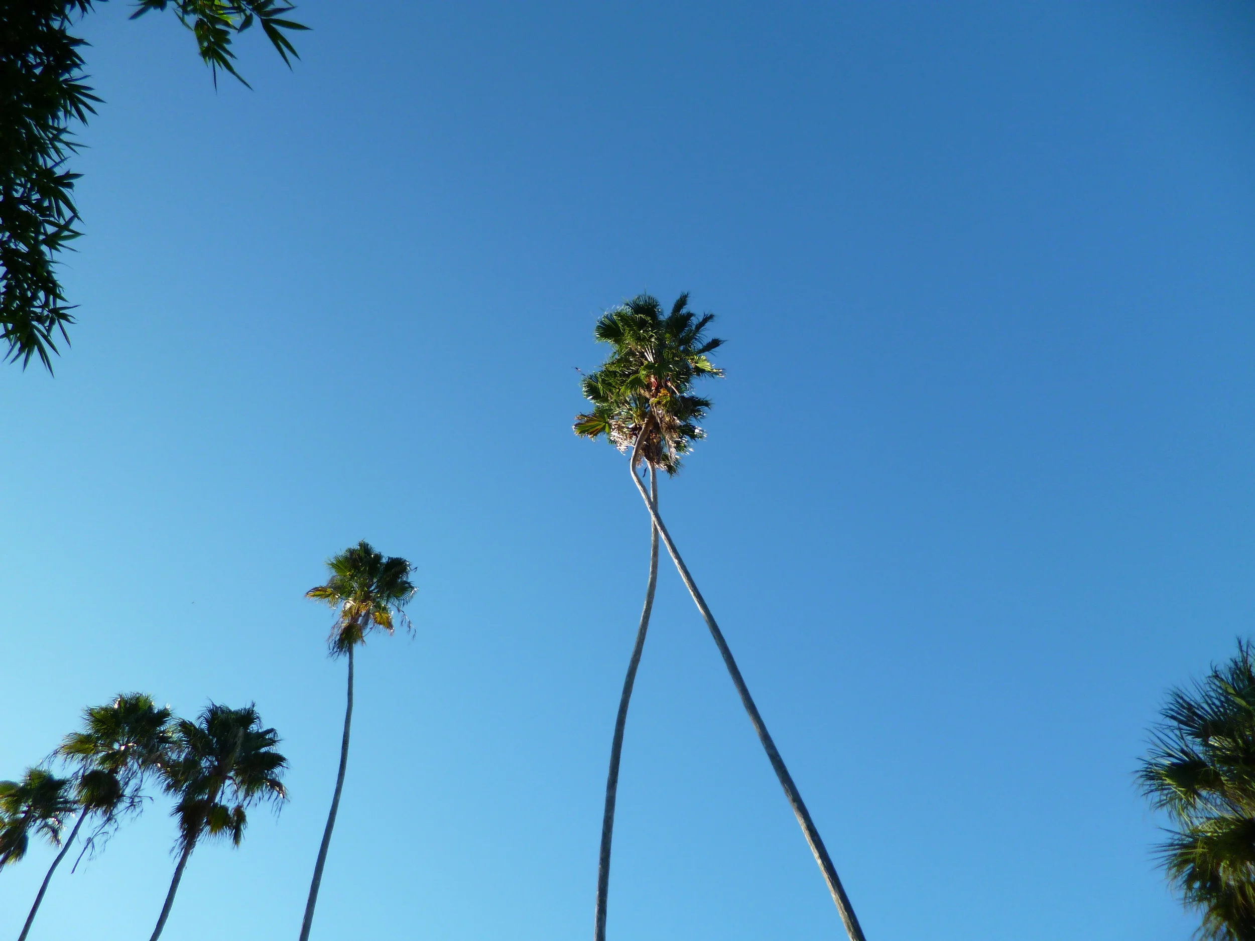 P1020198.JPG