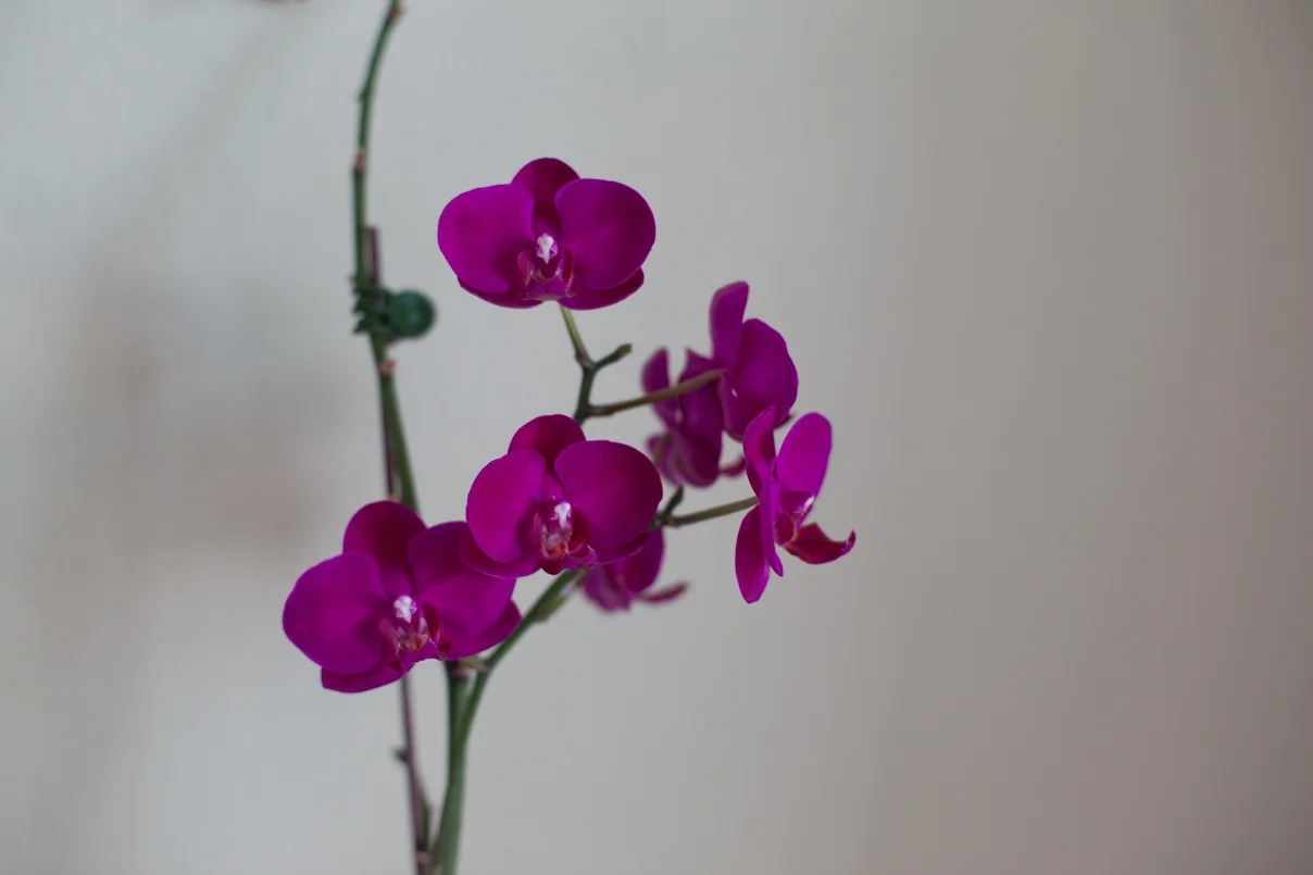 Kara’s Collection: Thank You, Village 7 Presbyterian