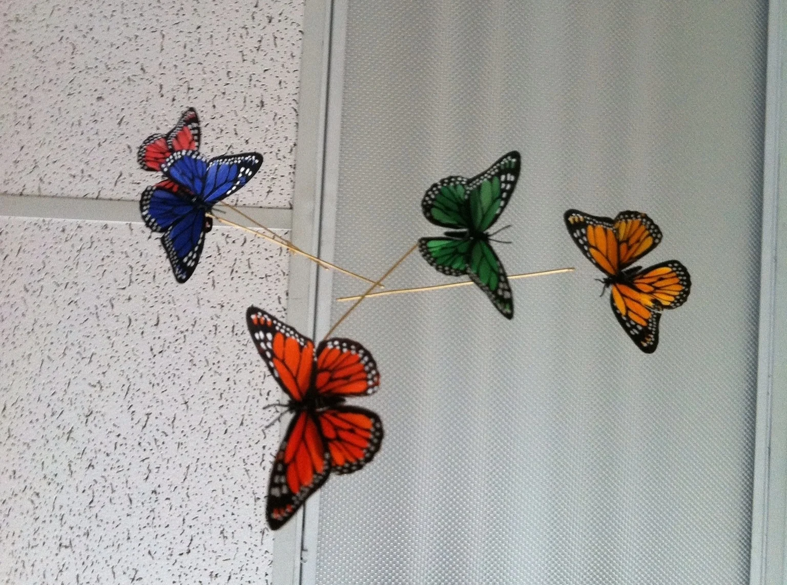 Kara’s Collection: How did I get here?