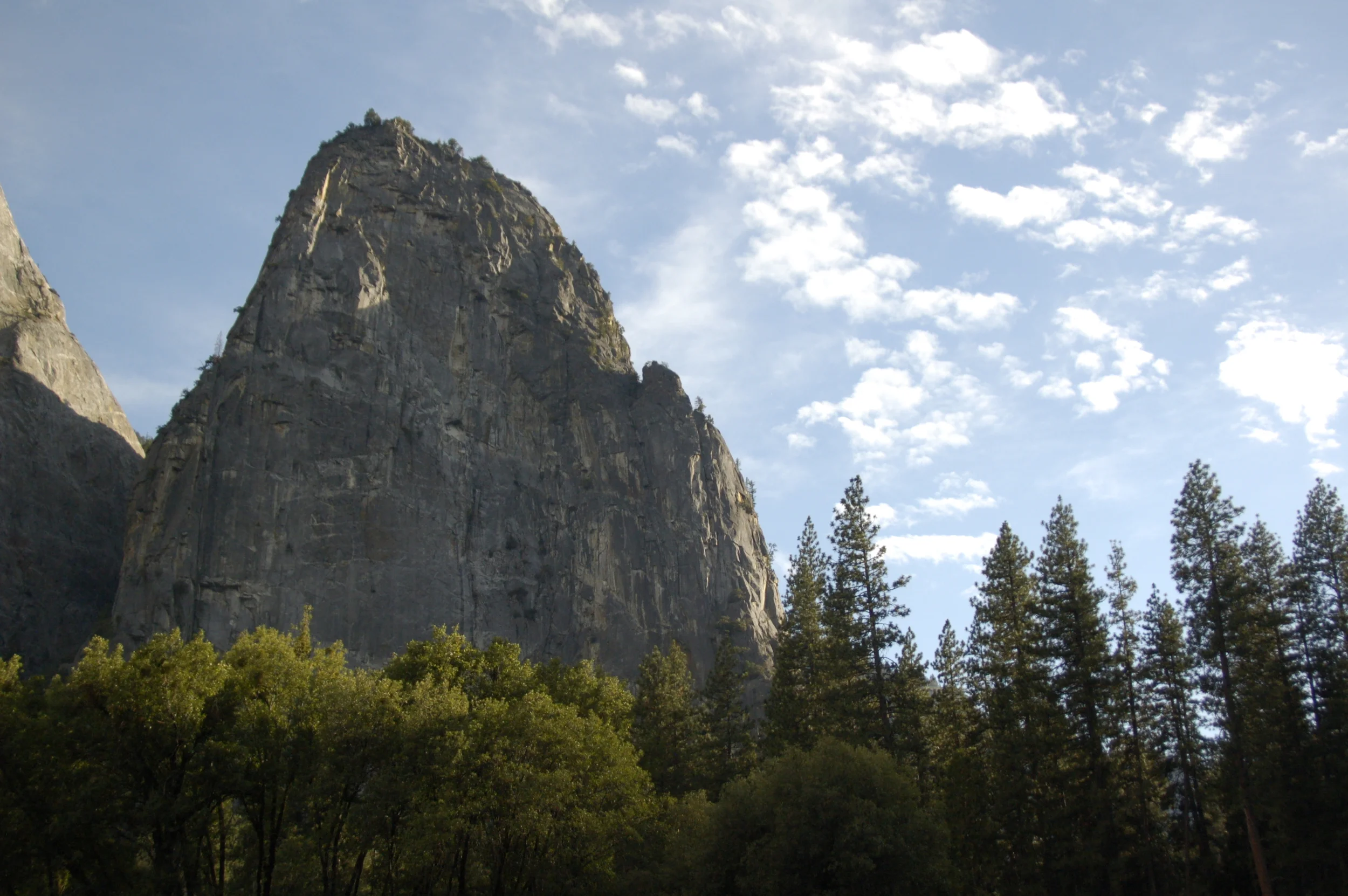 Verses and songs we use to fight for grace