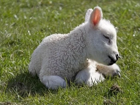 Kara’s Collection: It’s the final countdown!