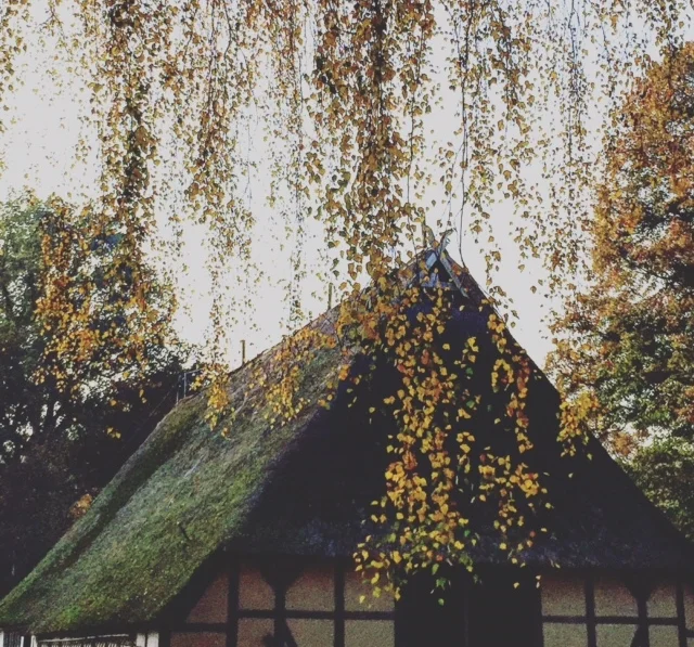 A Crisis of Faith: Caitlin’s Story